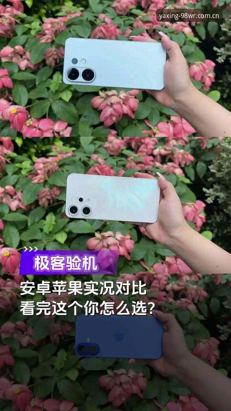 亚星娱乐官网苹果版 安卓vs苹果版:亚星体育平台哪个更值得用?我的实测对比